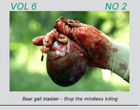 Bear gall bladder - stop the mindless killing