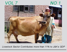Livestock sector contributer more than 11% to J&Ks GDP